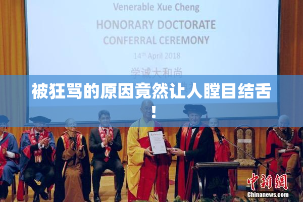 被狂骂的原因竟然让人瞠目结舌！