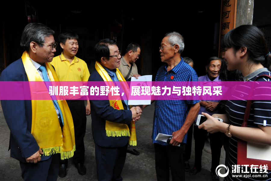 驯服丰富的野性，展现魅力与独特风采