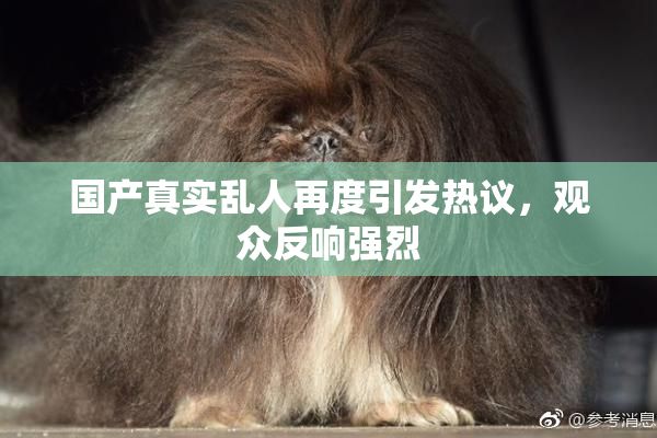国产真实乱人再度引发热议，观众反响强烈