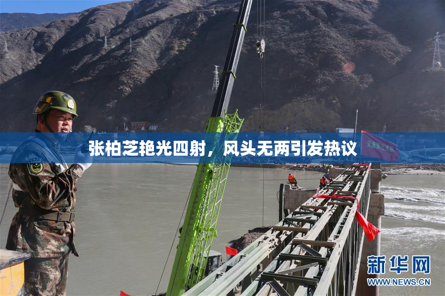 张柏芝艳光四射，风头无两引发热议