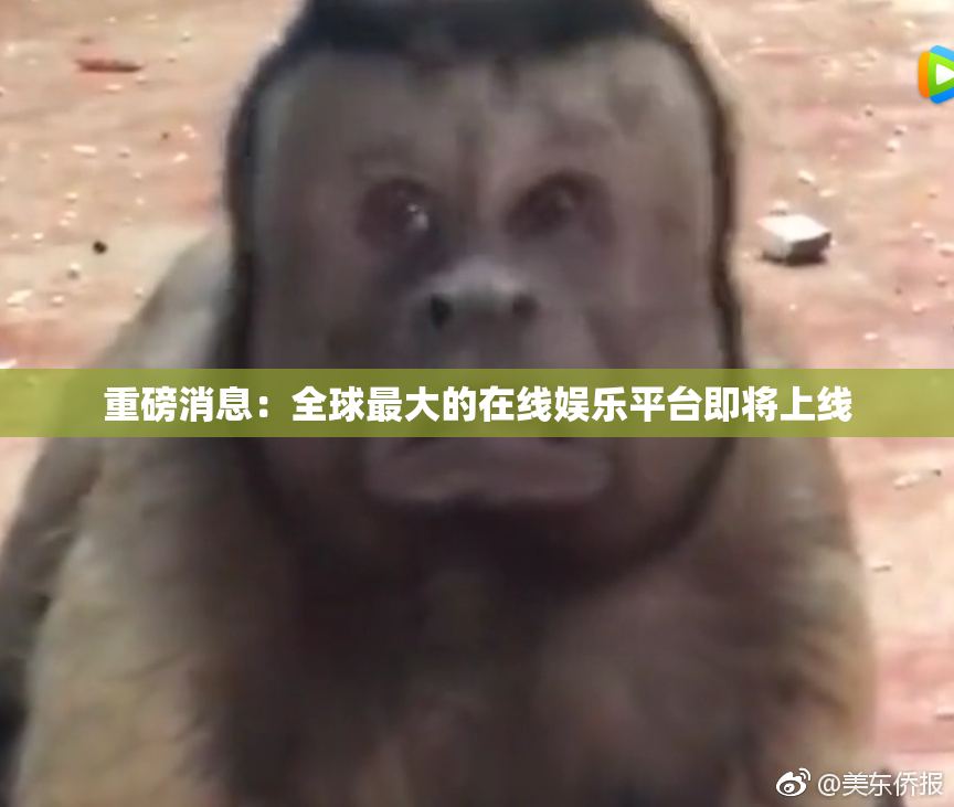 重磅消息：全球最大的在线娱乐平台即将上线