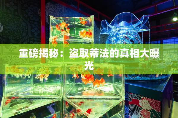 重磅揭秘：盗取蒂法的真相大曝光