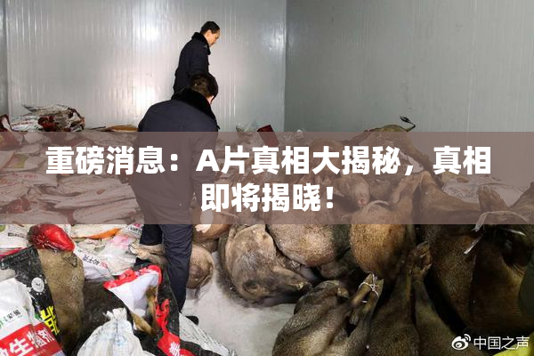重磅消息：A片真相大揭秘，真相即将揭晓！
