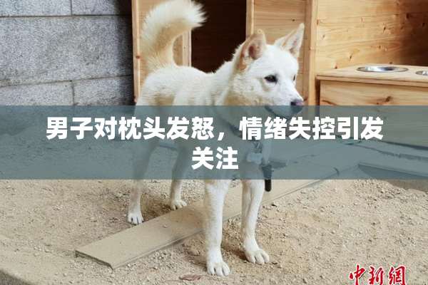 男子对枕头发怒，情绪失控引发关注