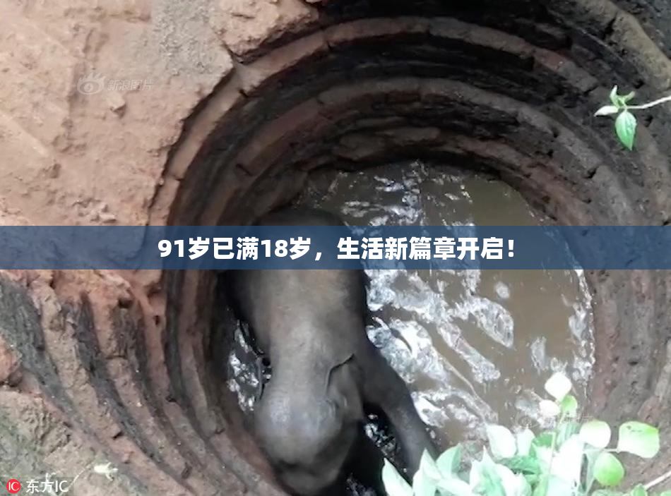 91岁已满18岁，生活新篇章开启！