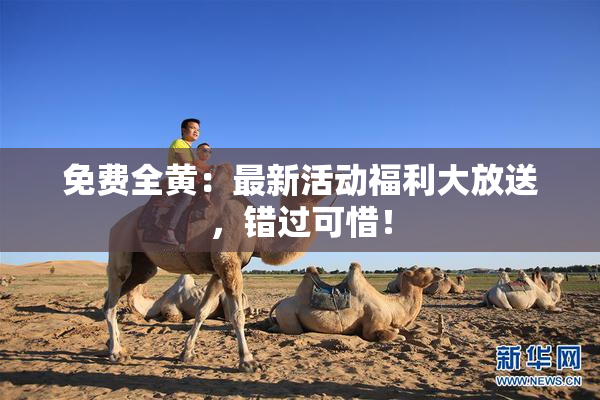 免费全黄：最新活动福利大放送，错过可惜！