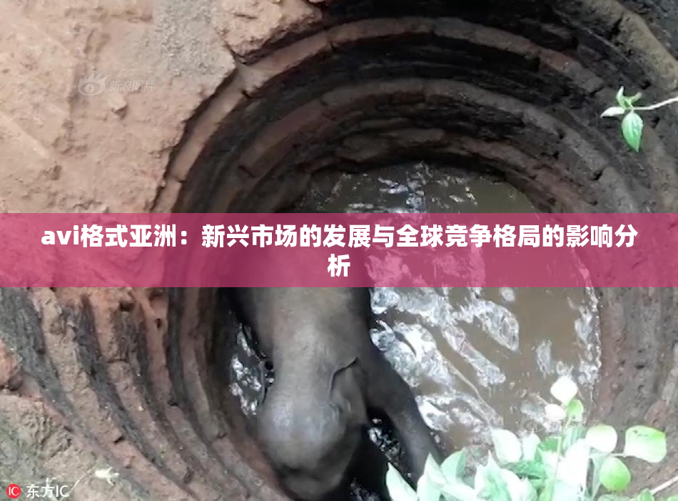 avi格式亚洲：新兴市场的发展与全球竞争格局的影响分析