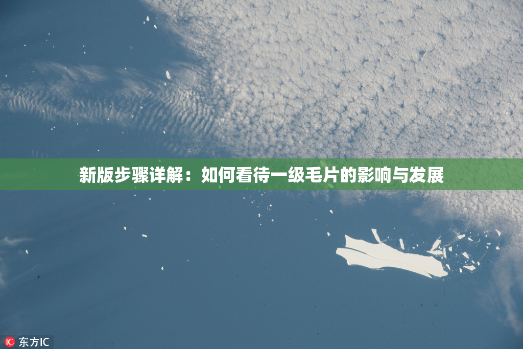 新版步骤详解：如何看待一级毛片的影响与发展