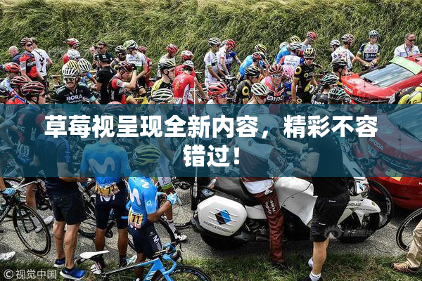 草莓视呈现全新内容，精彩不容错过！