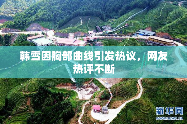 韩雪因胸部曲线引发热议，网友热评不断