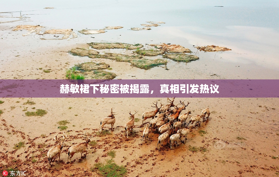 赫敏裙下秘密被揭露，真相引发热议