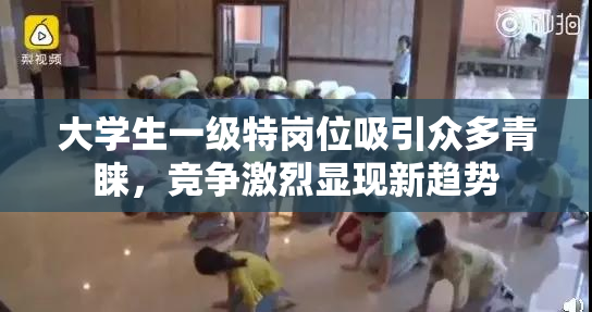 大学生一级特岗位吸引众多青睐，竞争激烈显现新趋势