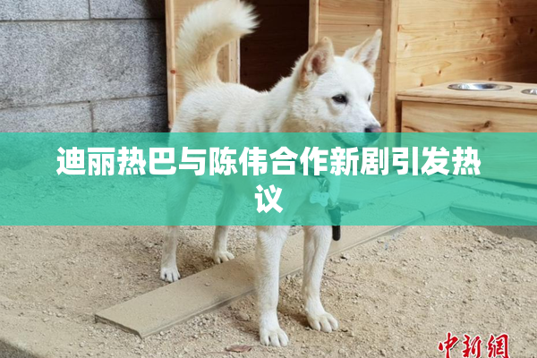 迪丽热巴与陈伟合作新剧引发热议
