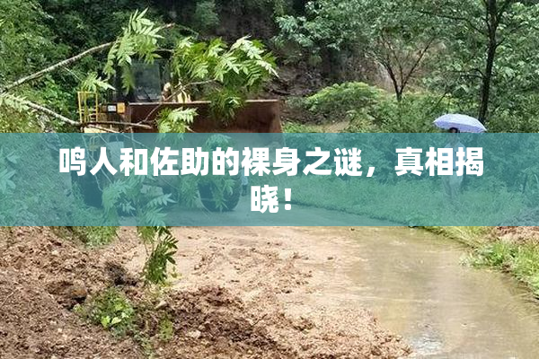 鸣人和佐助的裸身之谜，真相揭晓！