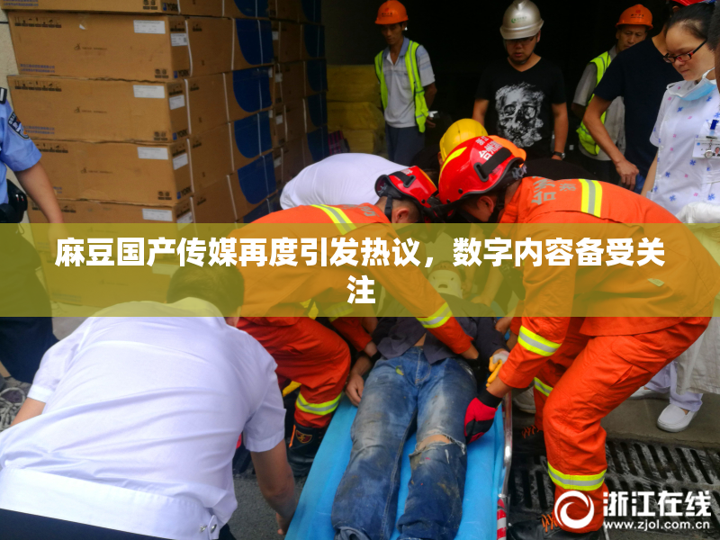 麻豆国产传媒再度引发热议，数字内容备受关注