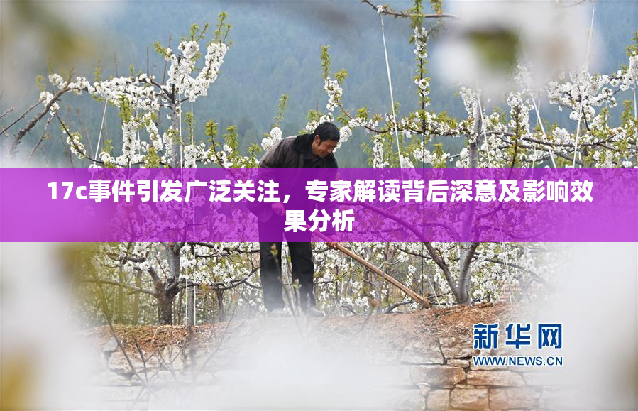 17c事件引发广泛关注，专家解读背后深意及影响效果分析
