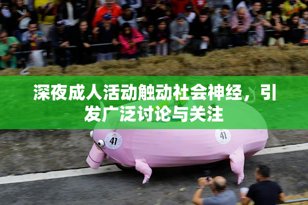 深夜成人活动触动社会神经，引发广泛讨论与关注