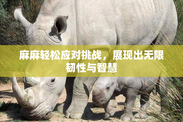 麻麻轻松应对挑战，展现出无限韧性与智慧