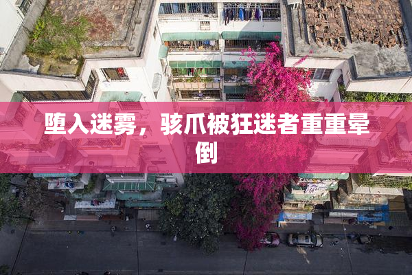堕入迷雾，骇爪被狂迷者重重晕倒