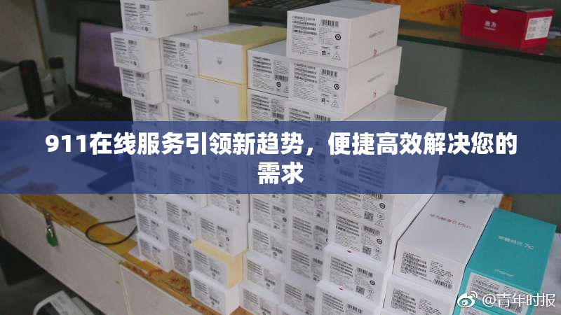 911在线服务引领新趋势，便捷高效解决您的需求