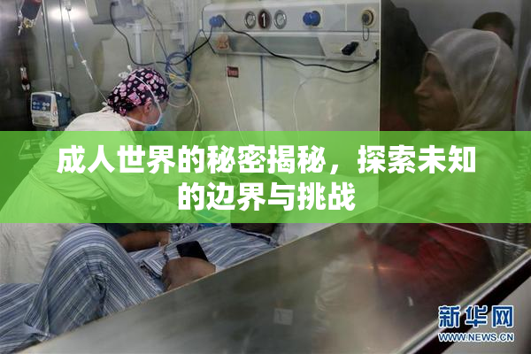 成人世界的秘密揭秘，探索未知的边界与挑战