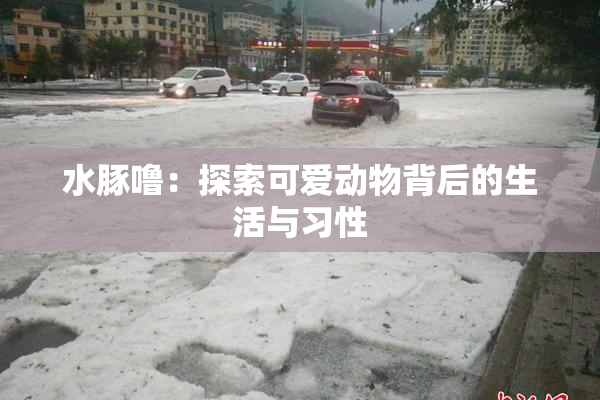 水豚噜：探索可爱动物背后的生活与习性