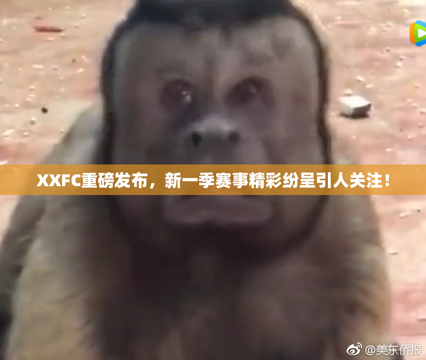 XXFC重磅发布，新一季赛事精彩纷呈引人关注！