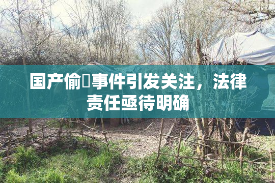 国产偷抇事件引发关注，法律责任亟待明确