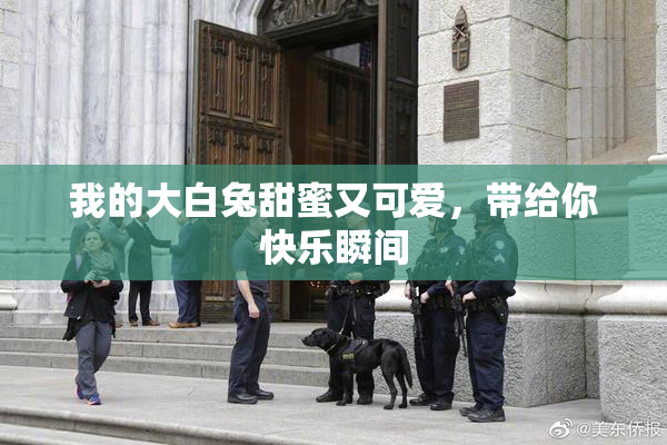 我的大白兔甜蜜又可爱，带给你快乐瞬间