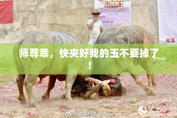 师尊乖，快夹好我的玉不要掉了！