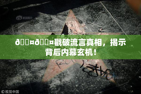 🐤🐤戳破流言真相，揭示背后内幕玄机！