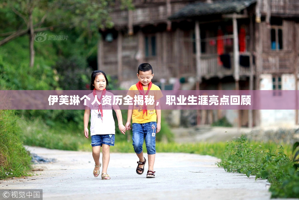 伊芙琳个人资历全揭秘，职业生涯亮点回顾