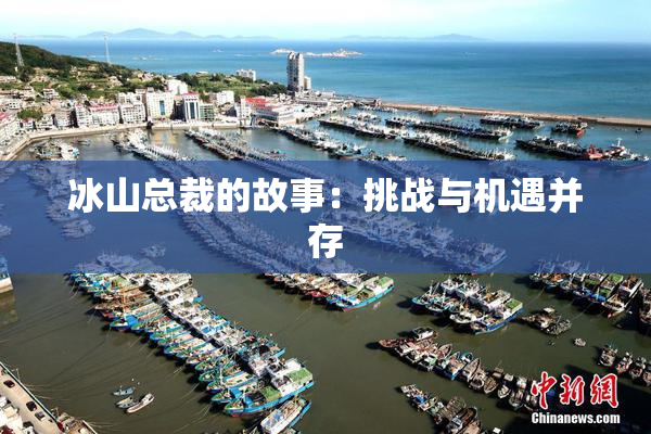 冰山总裁的故事：挑战与机遇并存