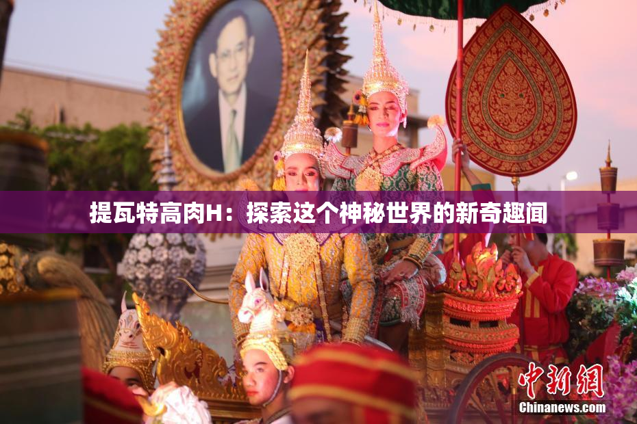 提瓦特高肉H：探索这个神秘世界的新奇趣闻