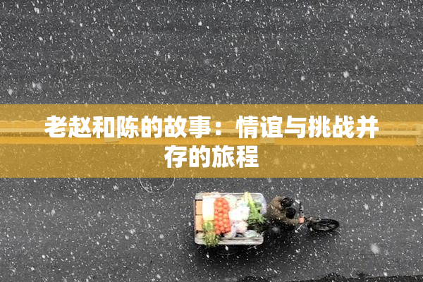 老赵和陈的故事：情谊与挑战并存的旅程