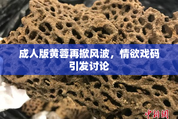 成人版黄蓉再掀风波，情欲戏码引发讨论