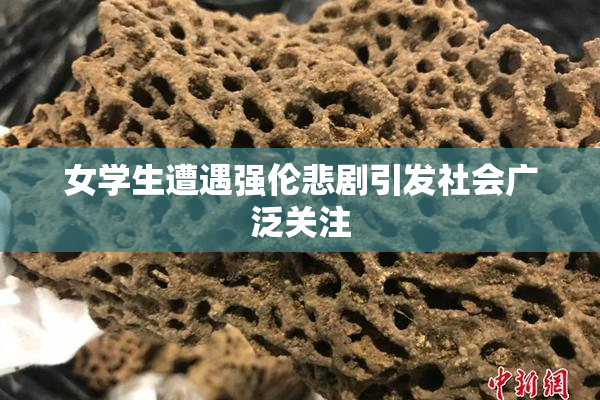女学生遭遇强伦悲剧引发社会广泛关注