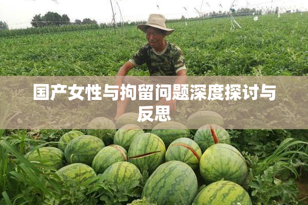 国产女性与拘留问题深度探讨与反思