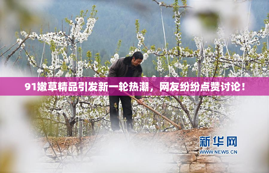 91嫩草精品引发新一轮热潮，网友纷纷点赞讨论！