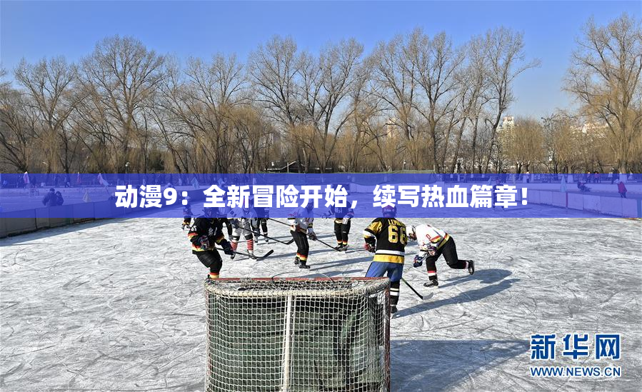 动漫9：全新冒险开始，续写热血篇章！