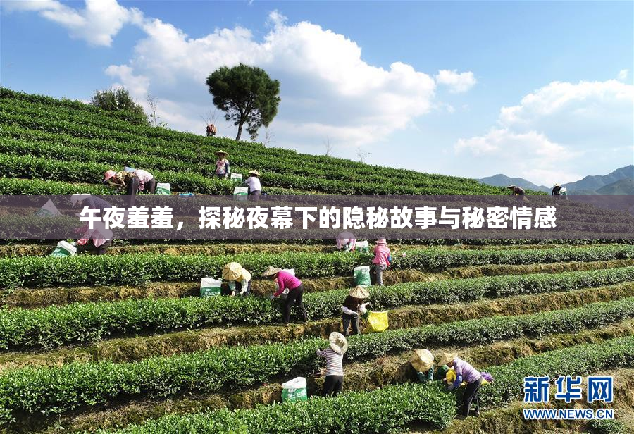 午夜羞羞，探秘夜幕下的隐秘故事与秘密情感