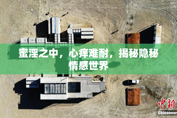 蜜淫之中，心痒难耐，揭秘隐秘情感世界