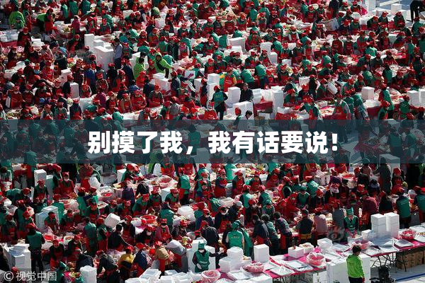 别摸了我，我有话要说！