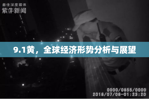 9.1黄，全球经济形势分析与展望