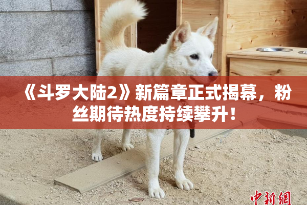 《斗罗大陆2》新篇章正式揭幕，粉丝期待热度持续攀升！