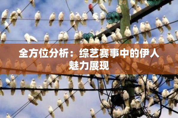 全方位分析：综艺赛事中的伊人魅力展现