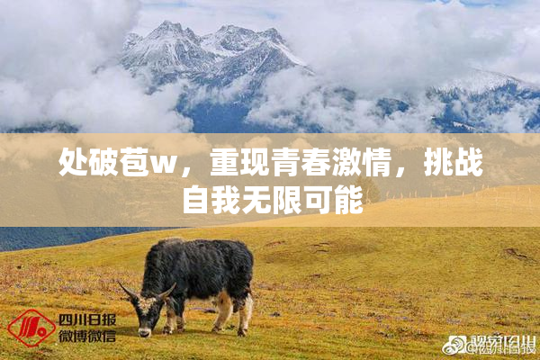处破苞w，重现青春激情，挑战自我无限可能