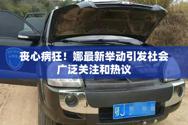 丧心病狂！娜最新举动引发社会广泛关注和热议