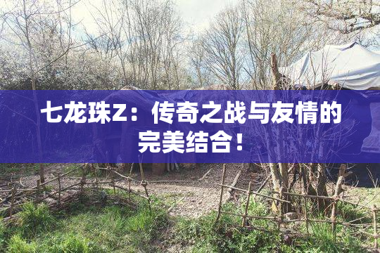 七龙珠Z：传奇之战与友情的完美结合！