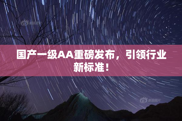 国产一级AA重磅发布，引领行业新标准！